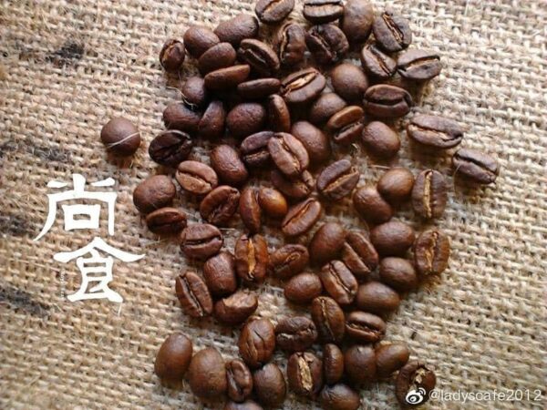 肯亞AA+ (50入耳掛式量販包)
