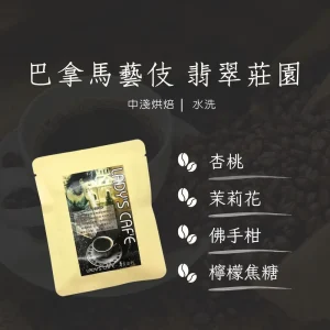 巴拿馬藝伎 翡翠莊園  (耳掛式 單1入)