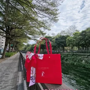 繽紛絲帶耳掛式禮盒