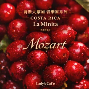 哥斯大黎加音樂家系列 莫扎特 咖啡豆